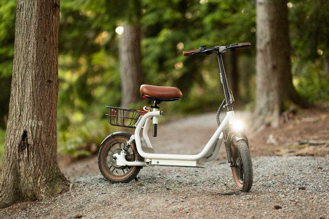 An electric scooter sits on a forest path