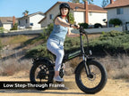 20" Fat Tire Folding 2 E-Bike