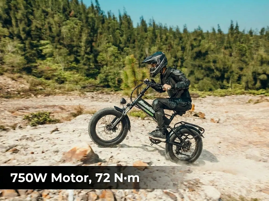 20" Fat Tire Folding 2 E-Bike